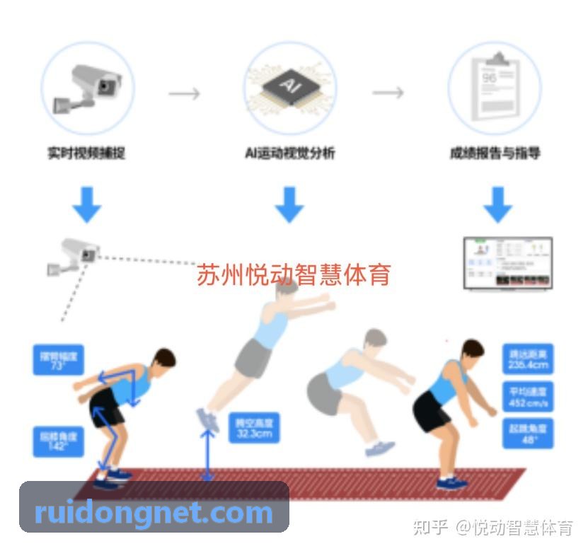 运动生物力学模型与体能负荷解析